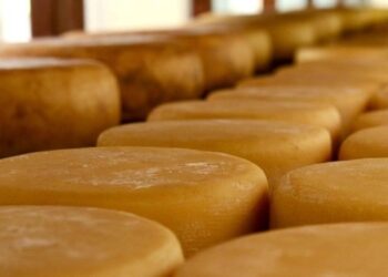 Minas será sede de concurso internacional de queijos