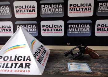 Cinco pessoas são presas suspeitas de manter aves em cativeiro