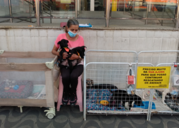 Cuidadora de animais fala sobre seu trabalho e a luta para adoção 