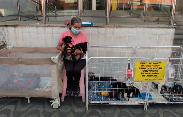 Cuidadora de animais fala sobre seu trabalho e a luta para adoção