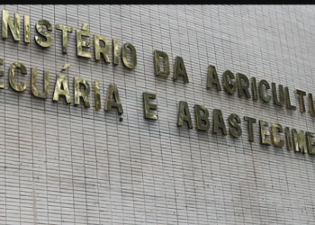 Ministério da Agricultura confirma caso de Vaca Louca em Minas