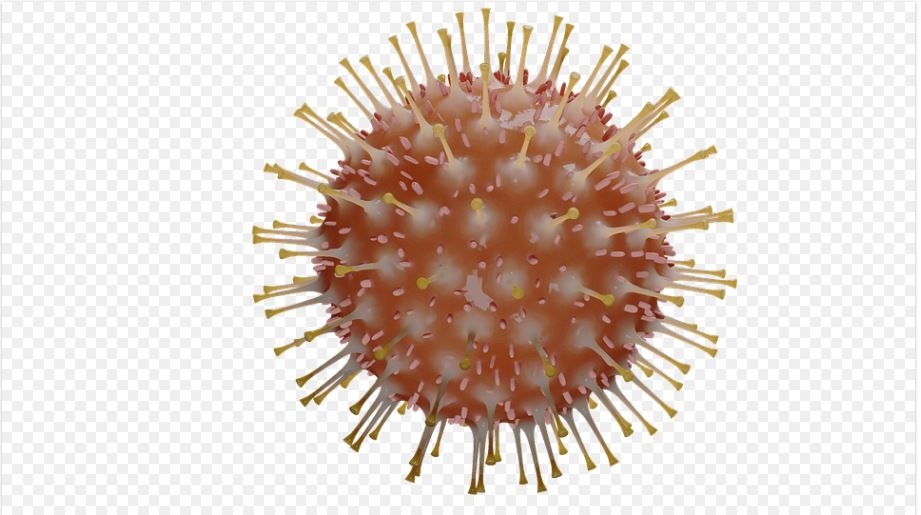 Saiba como estão os dados epidemiológicos em Poços de Caldas