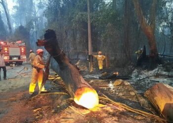 Incêndio derruba árvore e bloqueia estrada vicinal