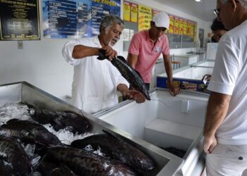 Ministério alerta relação da urina preta com consumo de peixes sem inspeção de órgãos oficiais
