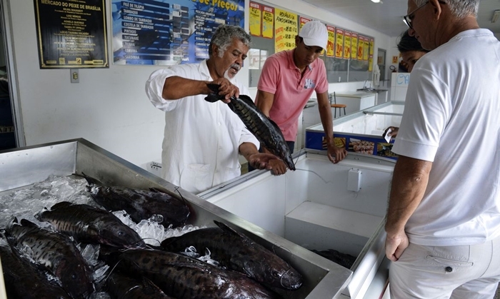 Ministério alerta relação da urina preta com consumo de peixes sem inspeção de órgãos oficiais