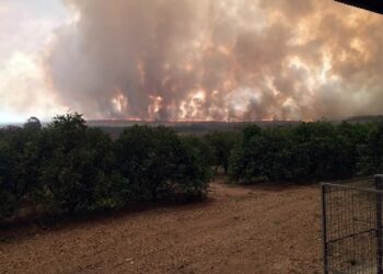 Prefeito desabafa sobre queimadas e pede socorro ao Estado