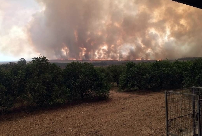 Prefeito desabafa sobre queimadas e pede socorro ao Estado