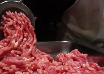 Governo propõe regras de qualidade para venda de carne moída