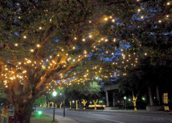 Secretaria de Turismo inicia a instalação da decoração de Natal de Poços de Caldas