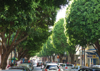 Rua São Paulo fica interditada para instalação de luzes de Natal a partir desta segunda em Poços