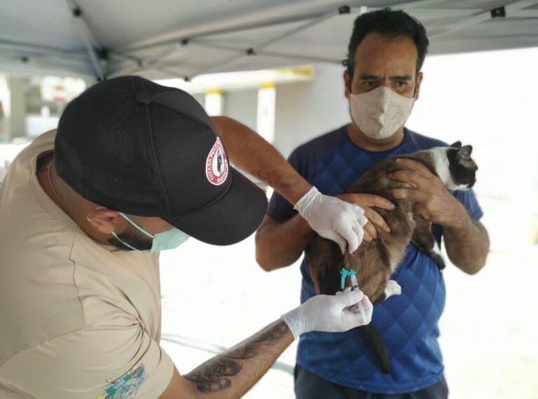 Campanha antirrábica vacina mais de 25 mil animais em Poços de Caldas