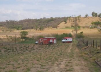 Cão late em busca de ajuda para dono que atolou em açude