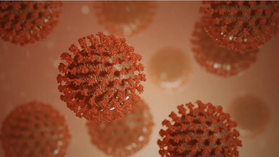Boletim Epidemiológico desta segunda segue sem registro de óbito pela COVID-19