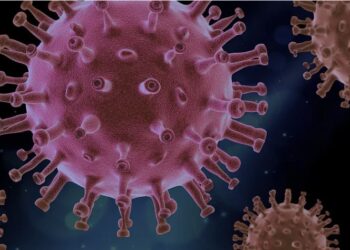 Confira os dados epidemiológicos desta quinta (07)