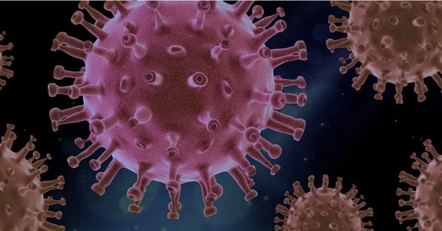 Confira os dados epidemiológicos desta quinta (07)