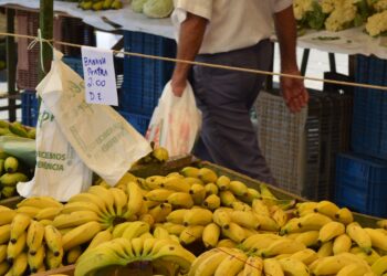 DME vai às feiras-livres em campanha de conscientização sobre economia de energia em Poços de Caldas