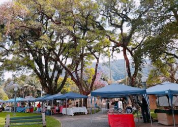 Feira de Artes funciona também na segunda e terça-feira