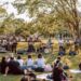 Música Instrumental no Parque acontece neste domingo
