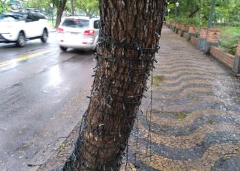 Decoração natalina é alvo de vandalismo em Poços de Caldas