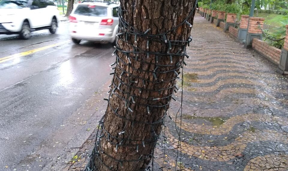 Decoração natalina é alvo de vandalismo em Poços de Caldas