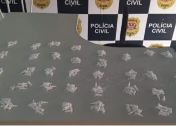 Guarda Civil Municipal apreende 370 pinos de cocaína em Mogi Guaçu