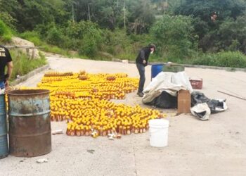 Poços de Caldas é alvo de Operação que combate fraude na produção de mel