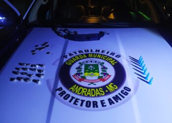 Homem em liberdade condicional é preso suspeito de tráfico de drogas em Andradas