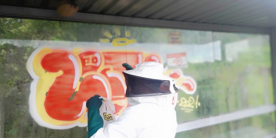 Enxame de marimbondos é retirado de ponto de ônibus em Poços de Caldas