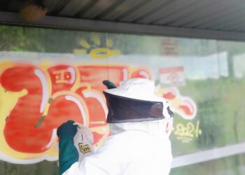 Enxame de marimbondos é retirado de ponto de ônibus em Poços de Caldas