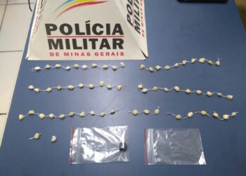 Adolescente é detido suspeito de tráfico de drogas em Poços de Caldas