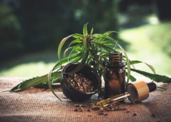 Anvisa aprova oitavo produto medicinal à base de Cannabis