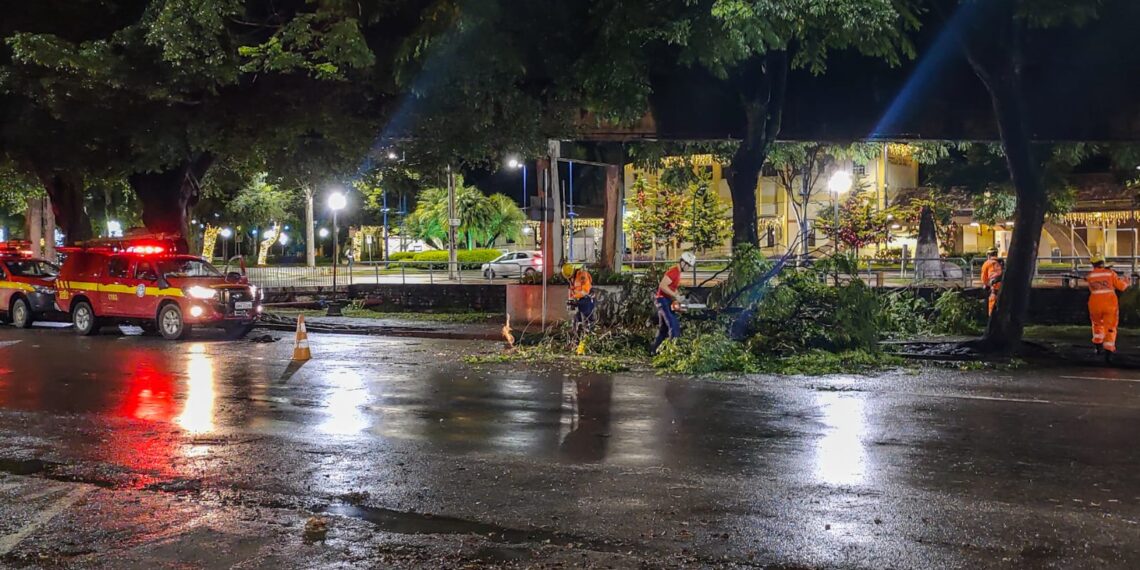 Queda de duas árvores são registradas em Poços de Caldas