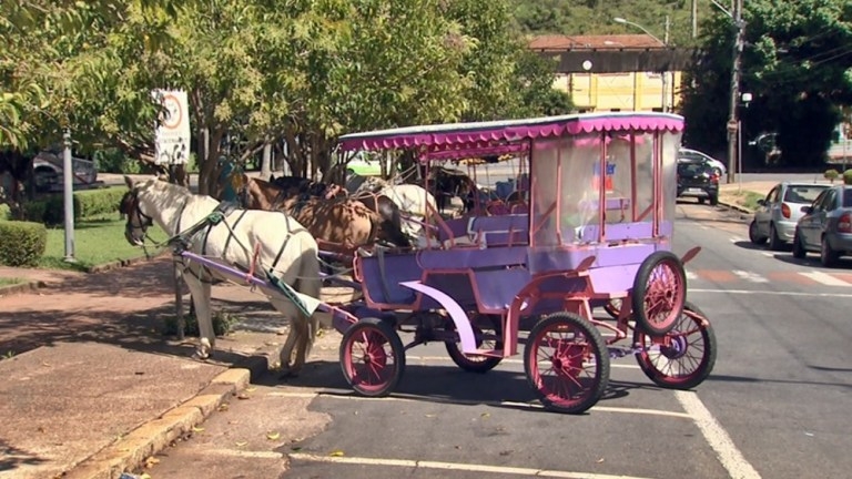 Novas tarifas para charretes de aluguel são aprovadas em Poços de Caldas