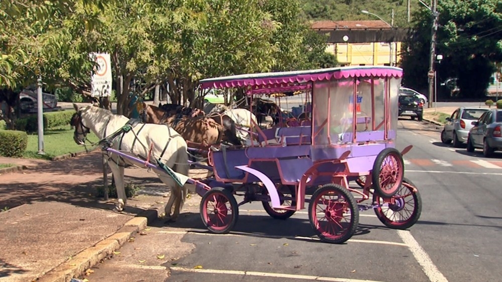 Com emenda de R$ 1 milhão, charretes podem estar com dias contados em Poços