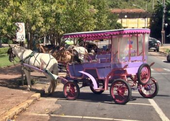 Com emenda de R$ 1 milhão, charretes podem estar com dias contados em Poços