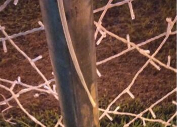 Furtos de itens da iluminação natalina são registrados em Poços