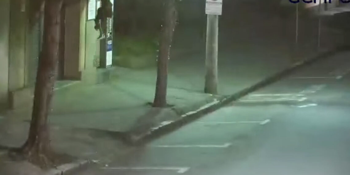 Guarda Municipal flagra tentativa de furto por videomonitoramento em Poços de Caldas