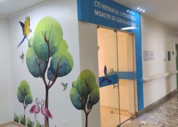 Bebês estão internados na Santa Casa de Poços com Covid-19; um deles na UTI