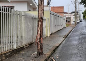 Bombeiros detectam perigo de eletrocussão em poste com risco de queda em Andradas