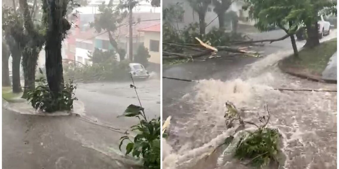 Chuva causa estragos em Campestre nesta quarta-feira (26)