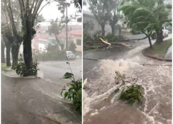 Chuva causa estragos em Campestre nesta quarta-feira (26)