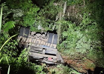 Caminhão cai em ribanceira e condutor morre próximo a Campestre