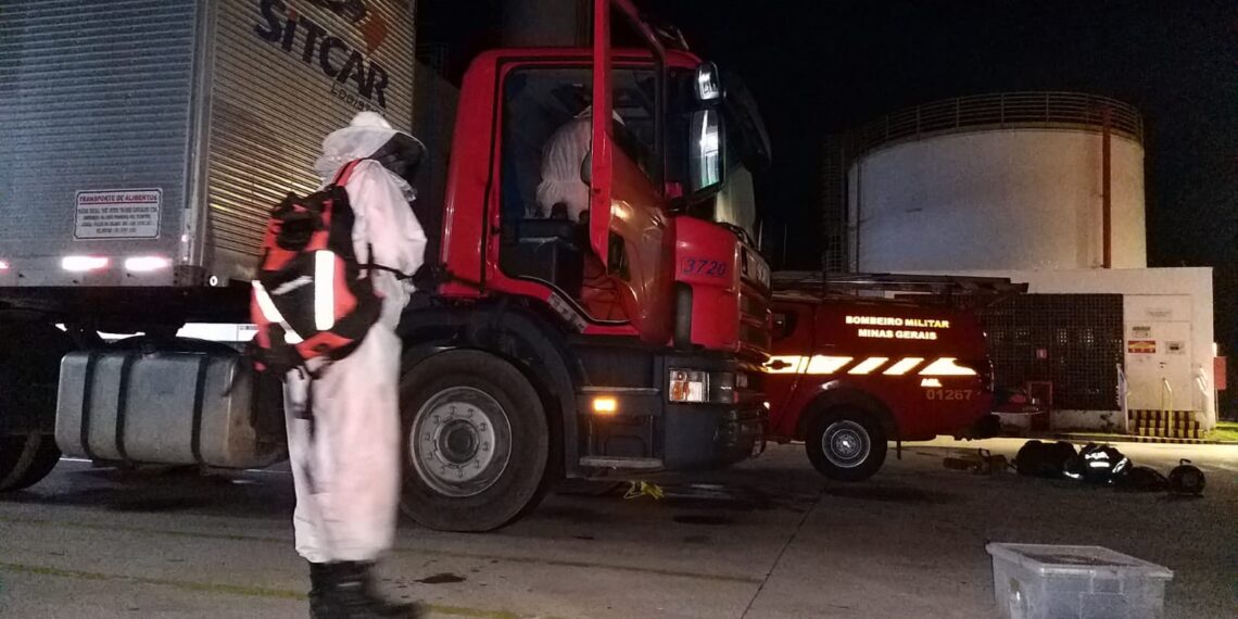 Corpo de Bombeiros é acionado para retirar enxame da cabine de um caminhão