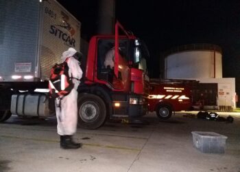Corpo de Bombeiros é acionado para retirar enxame da cabine de um caminhão