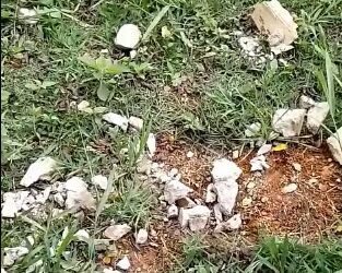 Mãe vai visitar túmulo de filho e encontra lápide destruída em Poços de Caldas