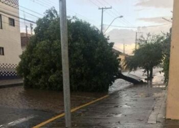 Chuva e vento forte causam estragos em vários pontos de Mococa