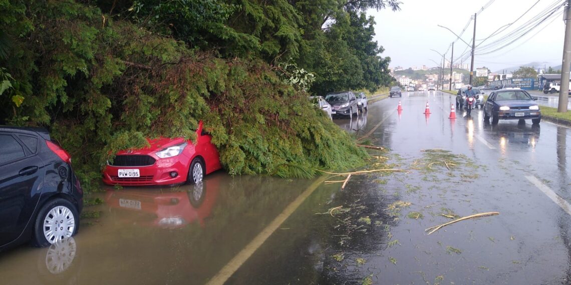 Chuva causa alagamentos, queda de árvores e muro em Poços de Caldas