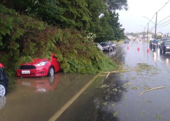 Chuva causa alagamentos, queda de árvores e muro em Poços de Caldas