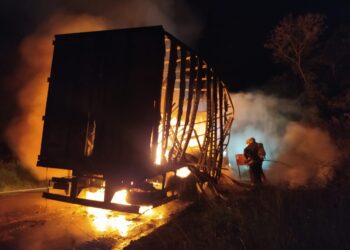 Caminhão carregado de roupas e eletrônicos pega fogo na BR-459
