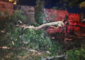 Chuva e vento forte causam estragos em vários pontos de Guaxupé